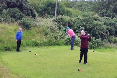 Game 1 Skelmorlie